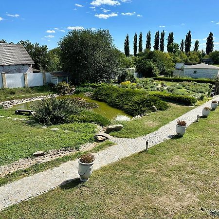 Maison Blanche Ecohousе Митниця Екстер'єр фото